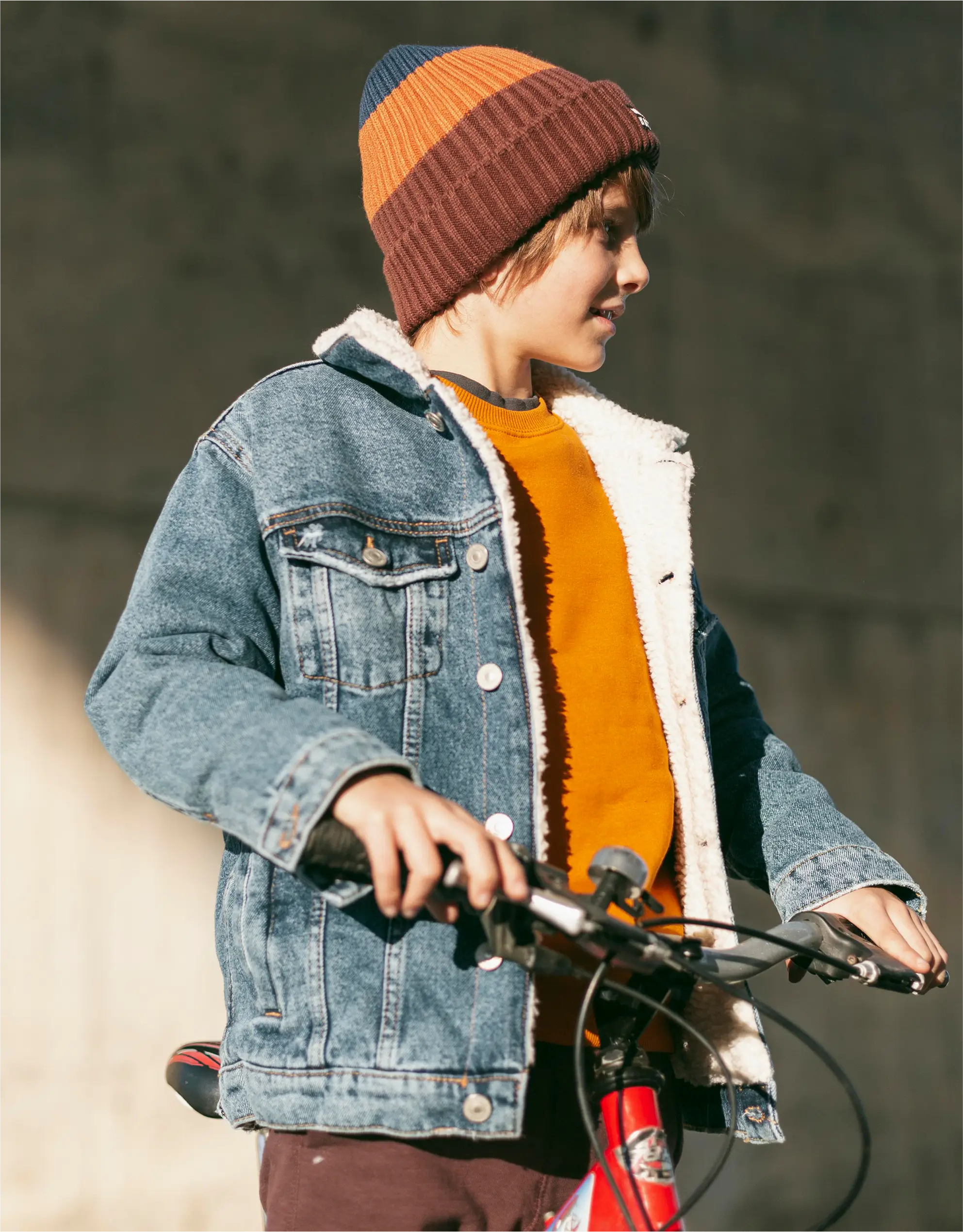 Sherpa Fabric