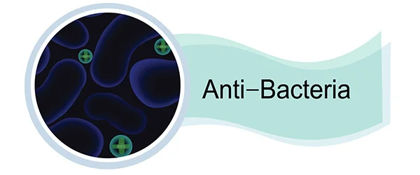 Anti–Bacteria
