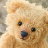 ตุ๊กตาหมี