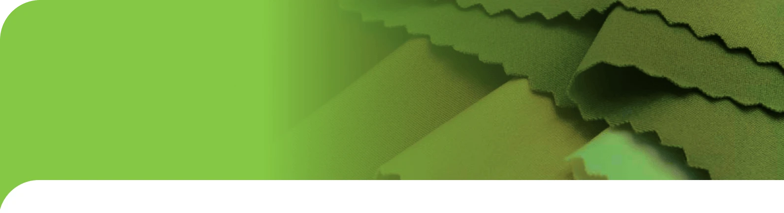 bg professional