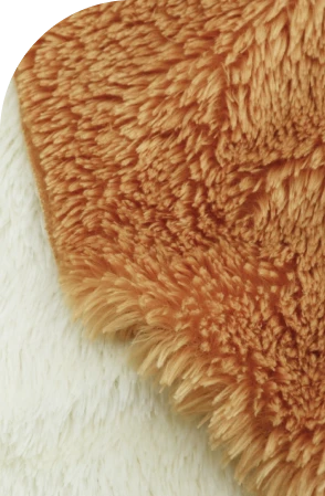 Polyboa