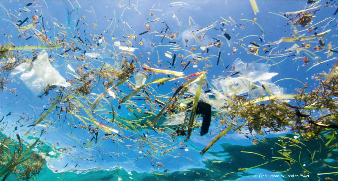 environmental crisis plastic