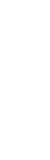 Melt spinnerets