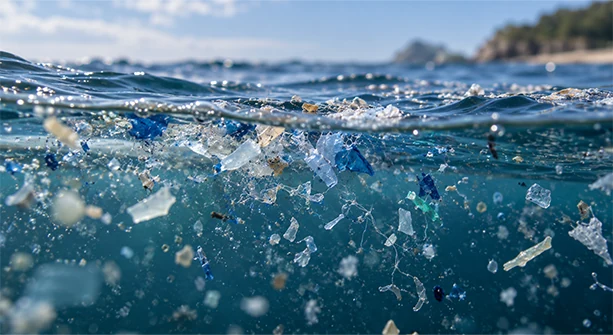 Microplastic fibres shed during fabric laundering
