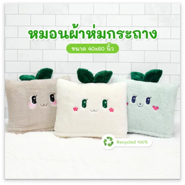 จงสถิตย์แฟร์ หมอนผ้าห่มกระถาง ขนาด 40x60 นิ้ว