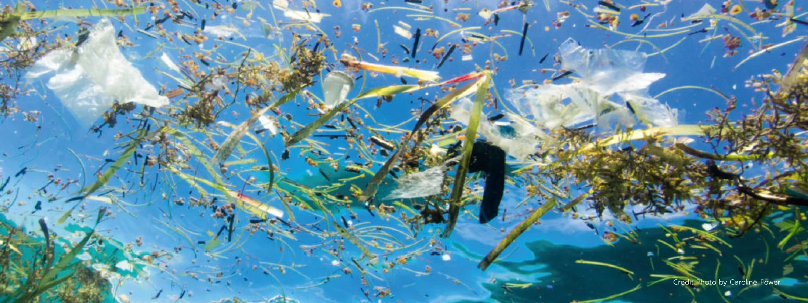 recycled polyester fabric