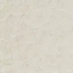 Cream Sherpa Plush Fabric T101RJ1537E61