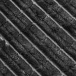 Jumbo Cord | CO60006