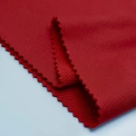 Red Thick French Terry | FT9100