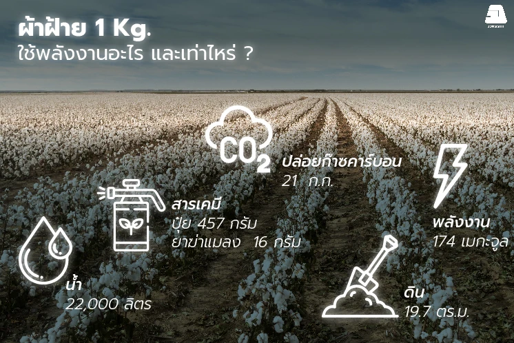 การผลิต ผ้าฝ้าย ผ้าฝ้าย 1 กิโลกรัม ใช้พลังงานอะไรบ้าง