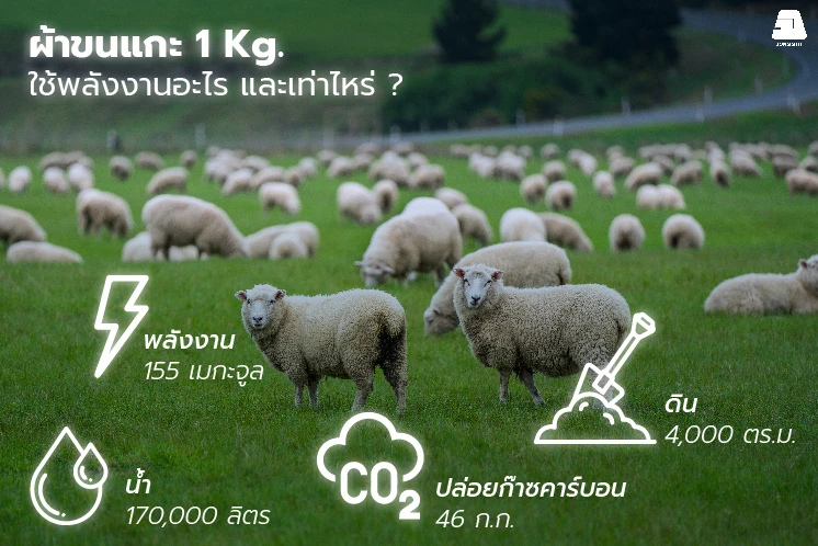 การผลิต ผ้าขนแกะ ผ้าขนแกะ 1 กิโลกลัม ใช้พลังงานอะไร และเท่าไหร่บ้าง