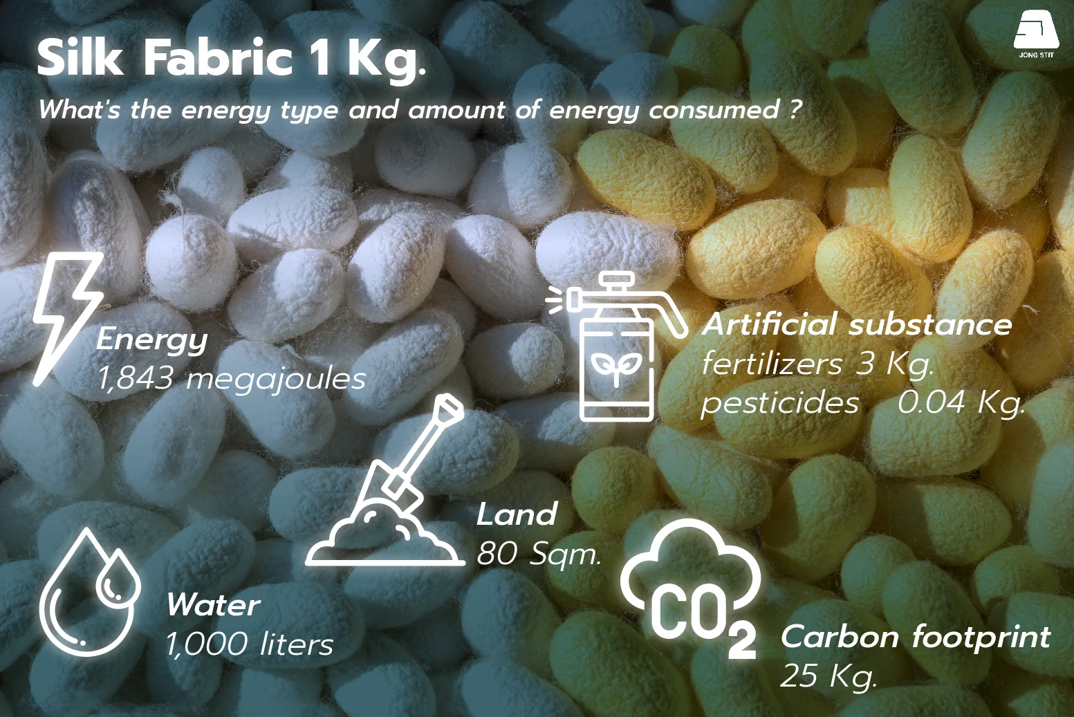 silk fabric 1 kg. Kilogram of Silk resources consumption