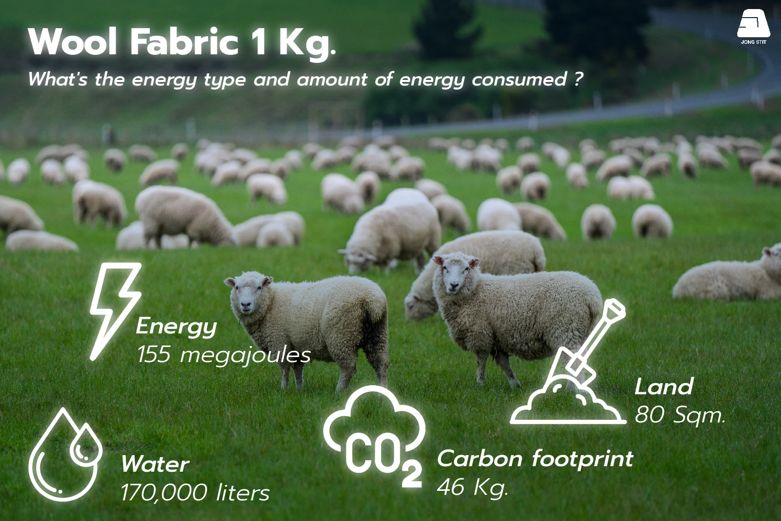 Kilogram of Wool resources consumption