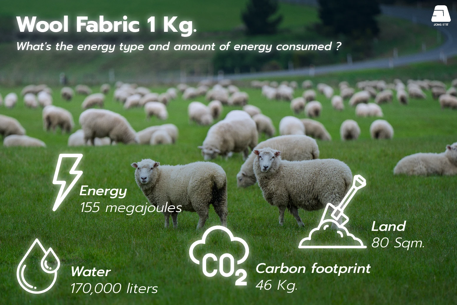 Wool fabric 1 kg. Kilogram of Wool resources consumption