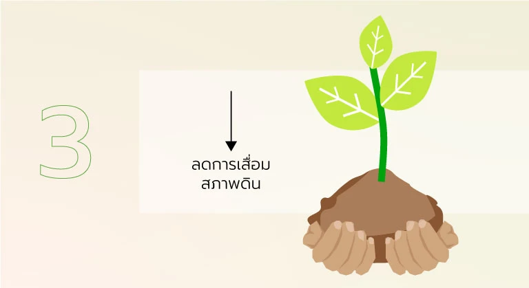 ผ้าโพลีเอสเตอร์ ลดการเสื่อมของหน้าดิน การผลิตโพลีเอสเตอร์ที่ใช้เม็ดพลาสติกในการผลิต จึงไม่ส่งผลกระทบต่อคุณภาพของดิน