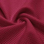 ผ้าตาข่าย | TM4283