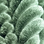 ผ้าลูกฟูก | CT60002