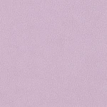 ผ้าโพล่าฟลีซขูดขน | A0-30-BV2275Z