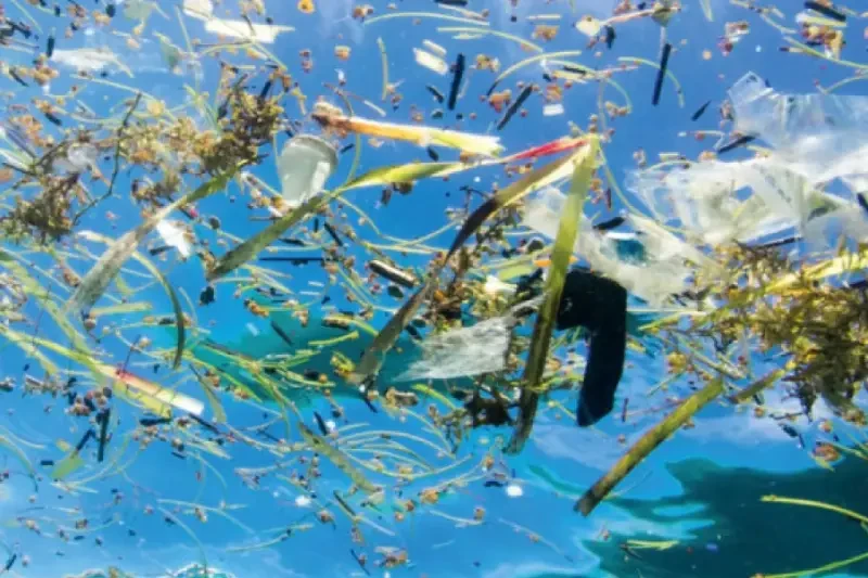 recycled polyester fabric