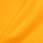 Tricot Mesh | TM4168